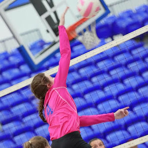 Meet your Posher, Brae